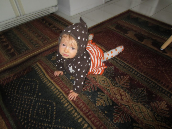 Ginny is crawling! Granted, in this pictures, her legs are a little outstretched, but I wanted to show off her cute pumpkin tights. :)
