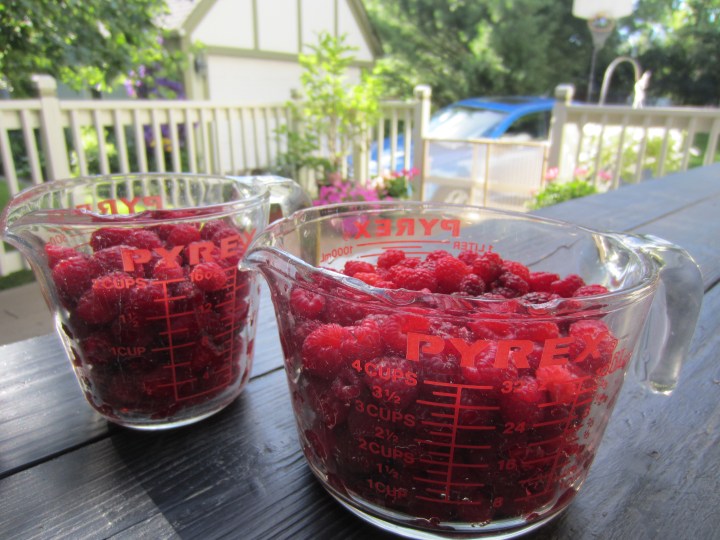 6 Cups Raspberries (4)