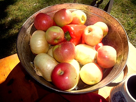 Fall Fresh Ingredients! I love this time of year.